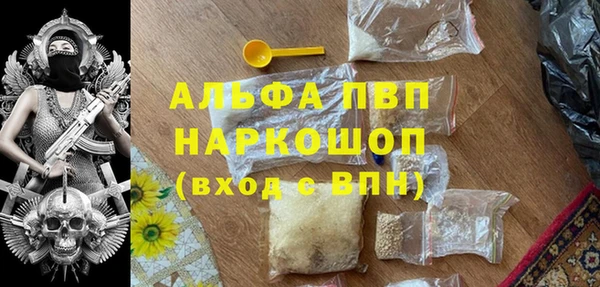 эйфоретик Пересвет