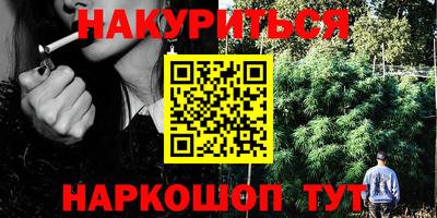 мдпв Бийск