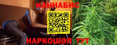 мдпв Бийск