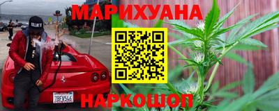мдпв Бийск