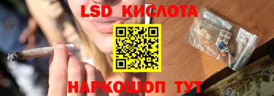 мдпв Бийск